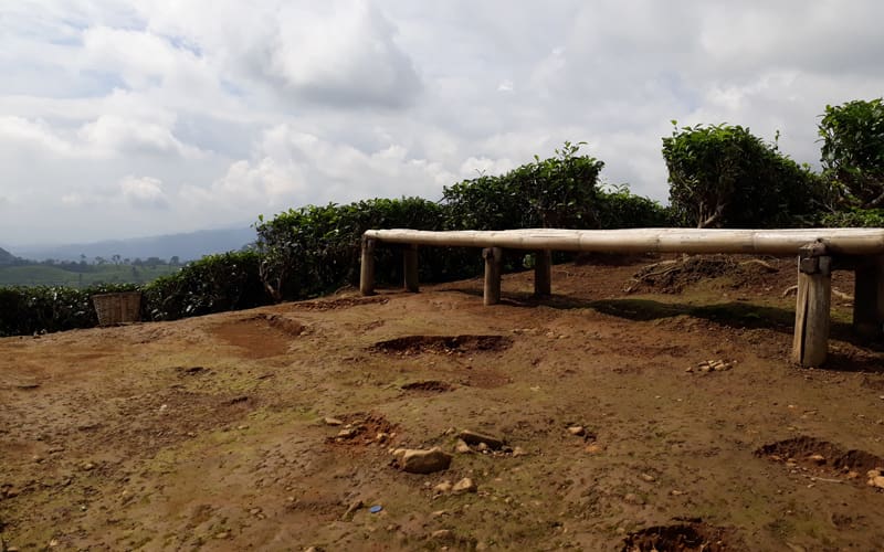 Hukum Menginjak Makam