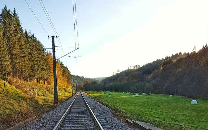 Foto: Early Frida/Islampos