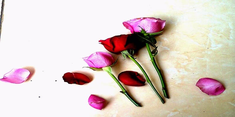 Foto: Google