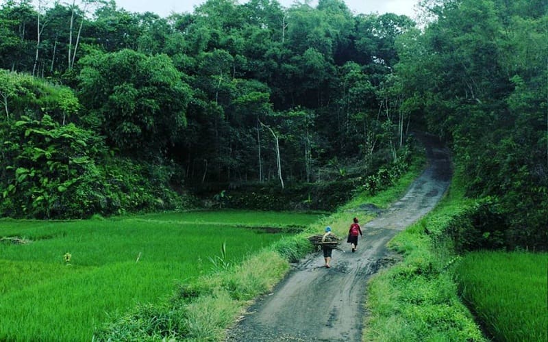 Foto hanya ilustrasi. Sumber: Inda Nugraha Hidayat/Istimewa.