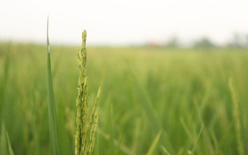 Foto hanya ilustrasi. Sumber: Adam/Islampos.