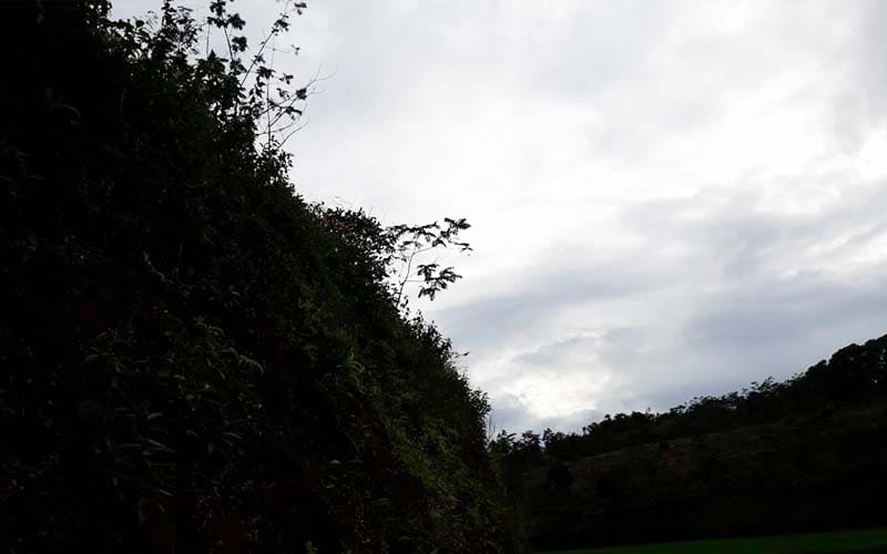 Ilustrasi. Foto: Aldi/Islampos.