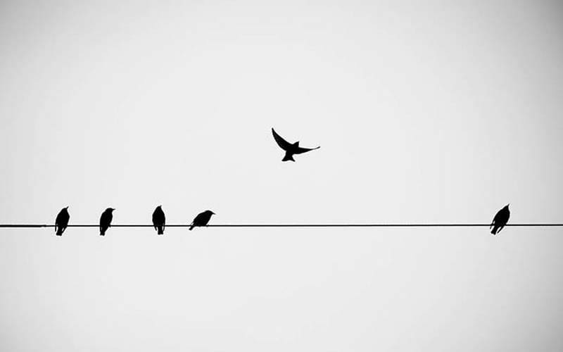 Foto: Pinterest