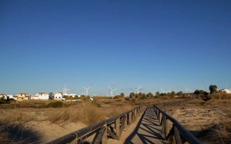 Foto: Early Frida/Islampos