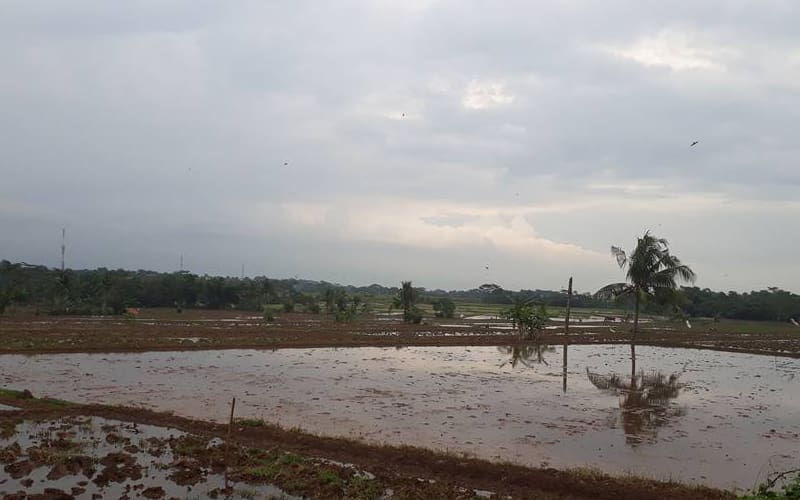 Foto: Aldi/Islampos