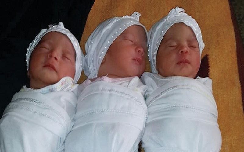 Bayi kembar tiga asal Palestina ya diberi nama Al Quds, Filistin, dan Asima. Foto: MEMO