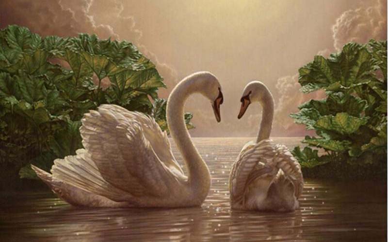 Foto: Paint By Numbers