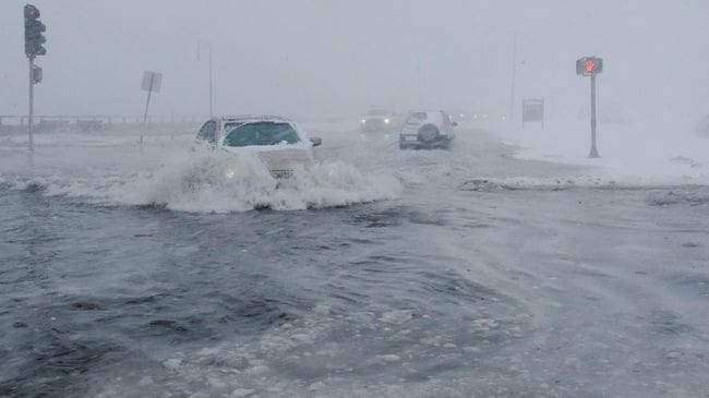 Akibat Badai Kuat, 5 Warga AS Tewas Tertimpa Pohon 1 Foto: CNN