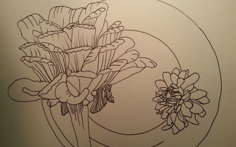 Foto: Gardening: Flower and Vegetables