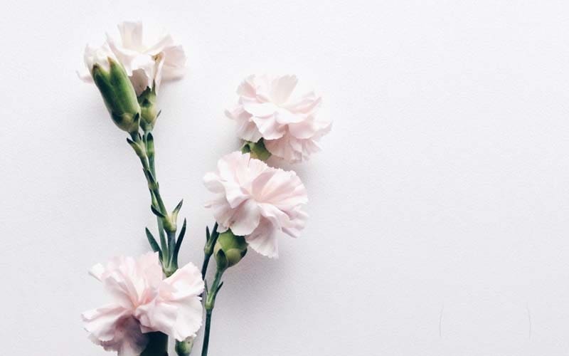 Foto: Pinterest