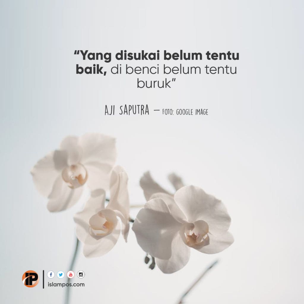 Yang Disukai Belum Tentu Baik 2