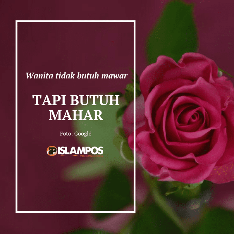 Wanita Tidak Butuh Mawar, Tapi Butuh Mahar 2 Wanita Tidak Butuh Mawar, Tapi Butuh Mahar 2