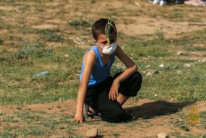 Mohammed Ayash, bocah pemberani dari Gaza. Foto: Palestine chronicle