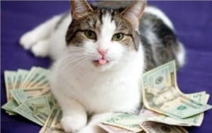 Inilah Fakta Unik tentang Kucing (1) 5 Inilah Fakta Unik tentang Kucing (1) 4 kucing