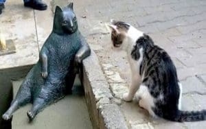 Inilah Fakta Unik tentang Kucing (1) 2 Inilah Fakta Unik tentang Kucing (1) 1 kucing