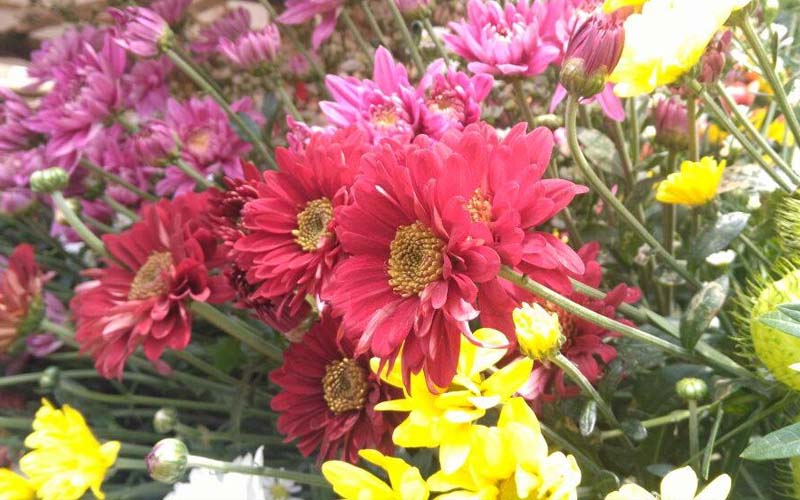 larangan bagi muslimah haid