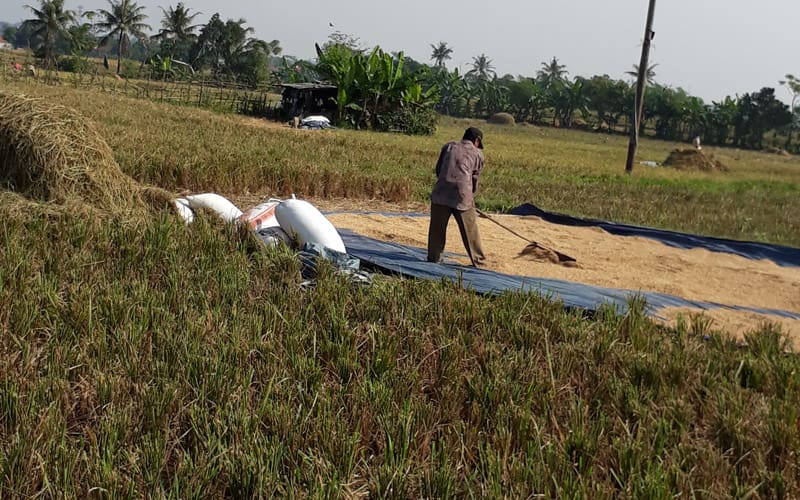 Pahala Bertani 2 Keutamaan Bertani dalam Islam, Pahala Bertani