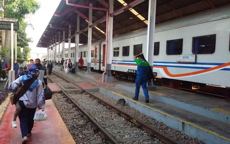 Foto: M Ardianysah/Islampos