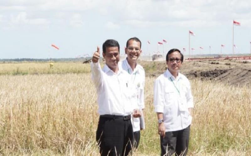 Menteri Pertanian Andi Amran Sulaiman. Foto: Tribun