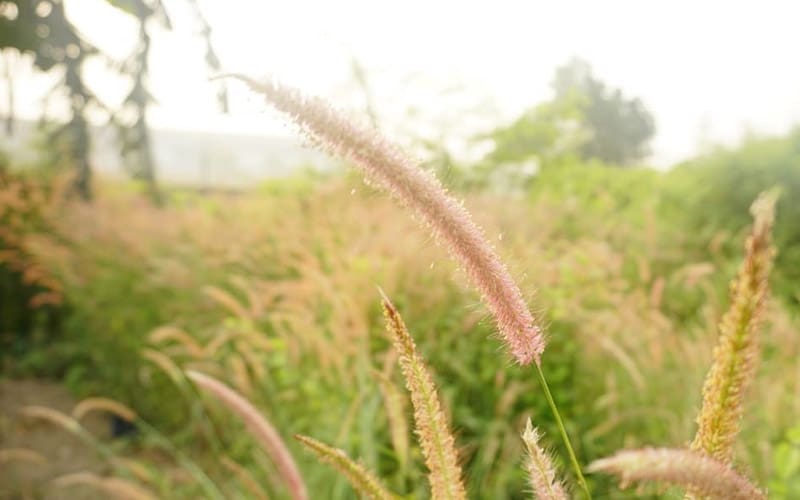 Foto: Dian Maulana/Islampos