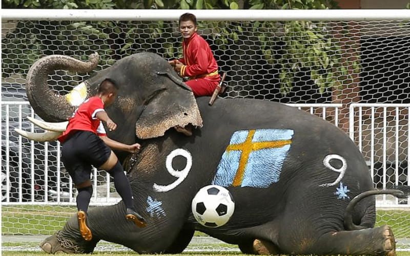 Foto: Asharq Al Awsat