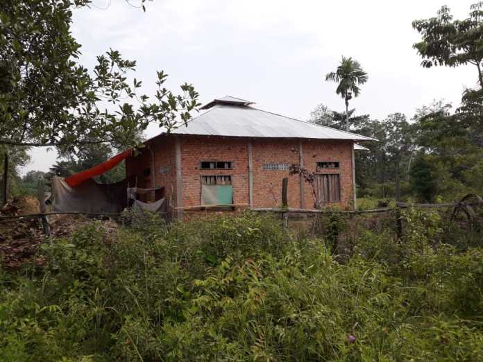 Foto: Serujambi