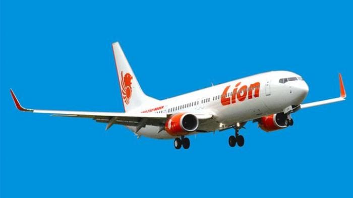 10 Pegawai BPK jadi Penumpang Pesawat Lion Air JT 610 yang Jatuh 1