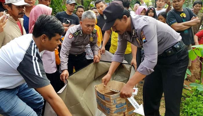 jasad bayi dalam kardus
