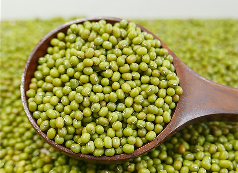 Kacang Hijau. Foto: Go Dok