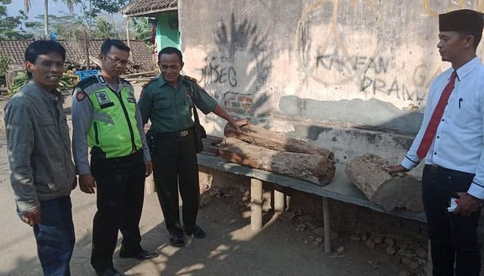 curi 3 batang kayu lapuk