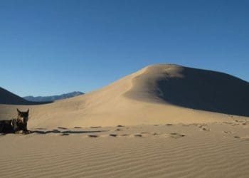 Inilah 7 Nabi Palsu yang Muncul pada Masa Nabi (1) 1