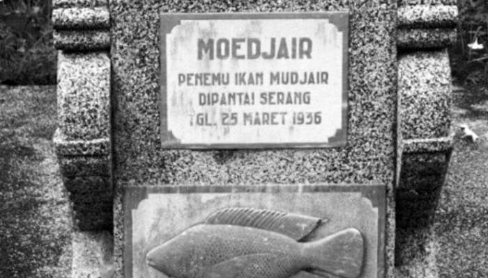 penemu ikan mujair