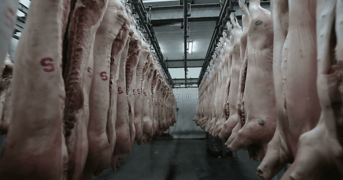 Ruangan pembeku daging. Foto: WUC