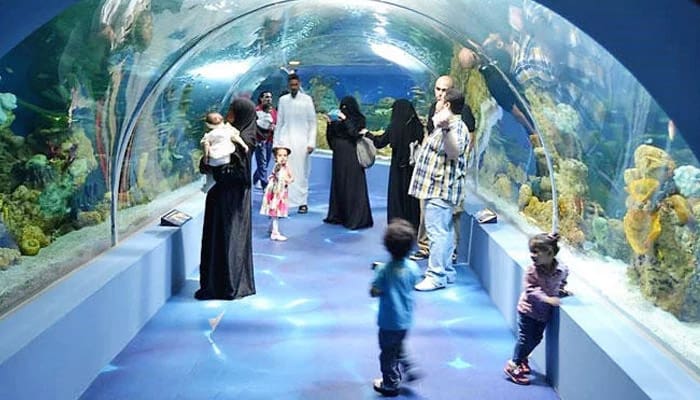 Perayaan Tahun Baru di Saudi, Mulai dari Sirkus Internasional sampai Pertunjukan Salju 1 Foto: Arab News