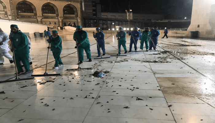 Serangga memenuhi Masjidil Haram. Foto: Morocco World News
