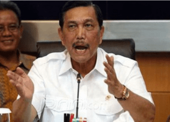 Luhut Binsar Panjaitan. Foto: Jpnn