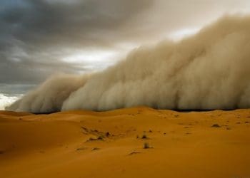 Ilustrasi. Foto: Yandex