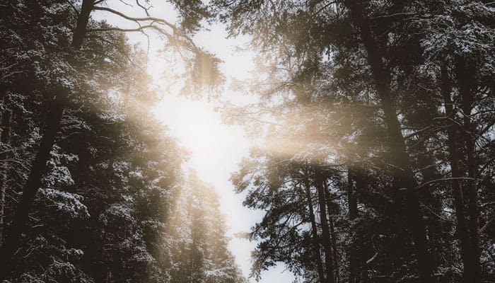 Pertolongan Allah Pasti Datang 1 Kebahagiaan Wajah Rasulullah