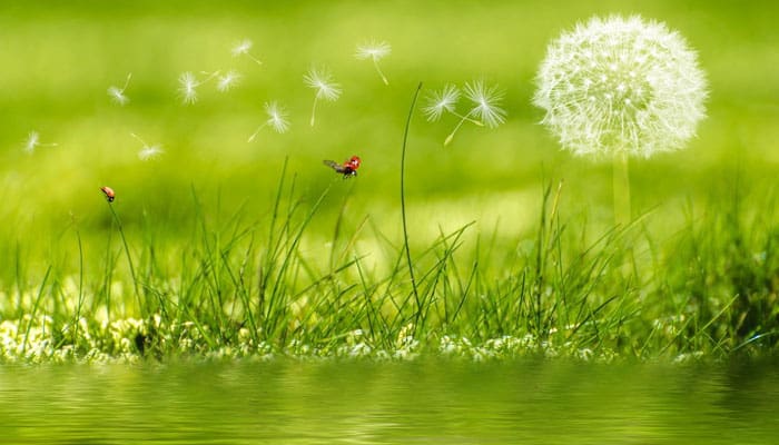 Ikhlas Amalan yang Paling Sulit, Bernarkah? 1 FOTO: PEXELS