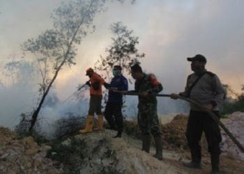 Kebakaran Hutan dan Lahan (Karhutla)