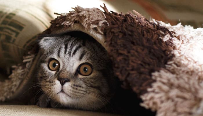 Suami Istri Bosan Jima? Lakukan 4 Tips Ini 1 Ilustrasi Foto: Unsplash