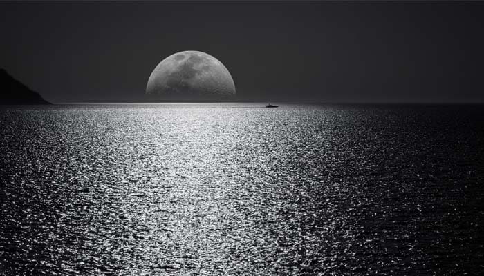 Ini Nih Biodata Setan 1 Foto: Pexels