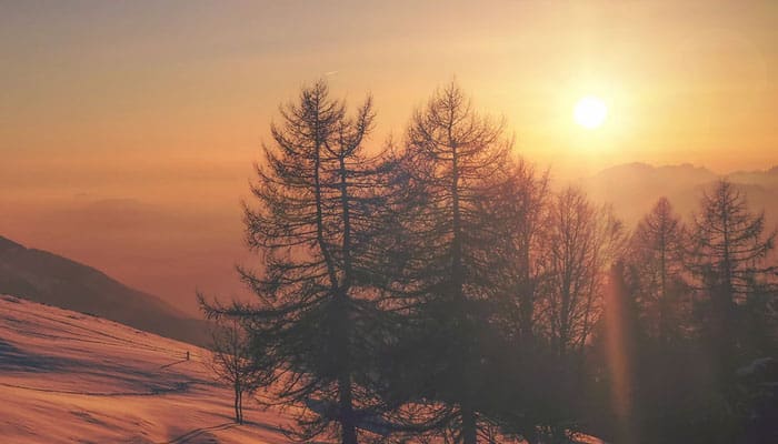 Ketika Rasulullah Singgah di Rumah Abu Ayyub 1 rumah abu ayyub