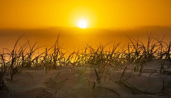 Kaum yang Menangguhkan Kesenangan untuk Hari Akhir 1 Wali Allah