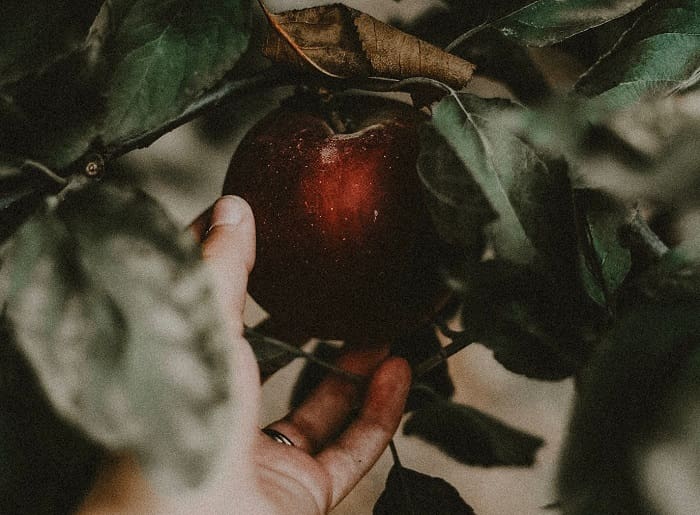 Ilustrasi. Foto: Unsplash