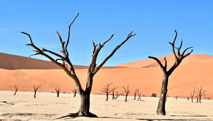 Nasib Tawanan Perang Badar 1 Shafwan bin Umayyah Masuk Islam