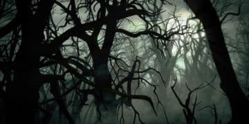 akhir hidup uqbah bin abu muith