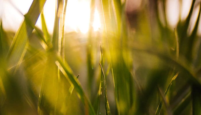 Ketika Rasulullah Membagikan Rambutnya 1 imam ahmad bin hambal