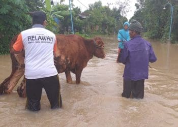 BMH bantu korban banjir Jatim. Foto: Ist