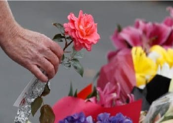 Sejumlah Bintang Hollywood Berdonasi untuk Korban Teror Selandia Baru 5 Foto: Daily Sabah